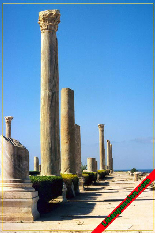 Roman Column of Tyre